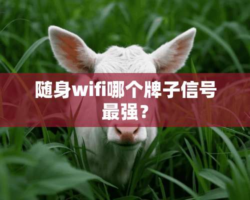 随身wifi哪个牌子信号最强？