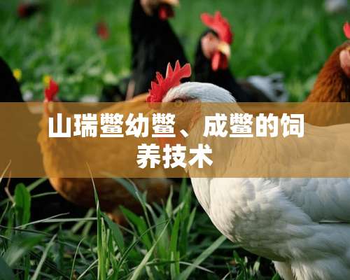 山瑞鳖幼鳖、成鳖的饲养技术