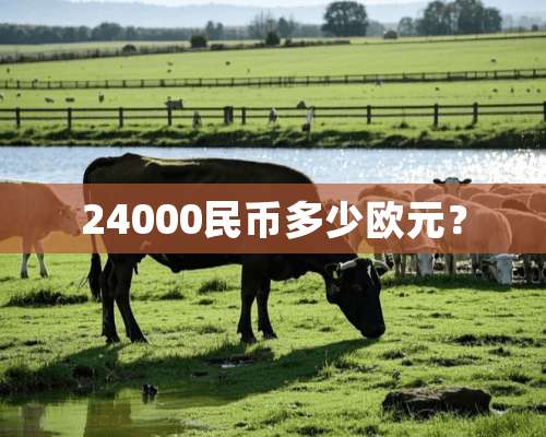 24000民币多少欧元？