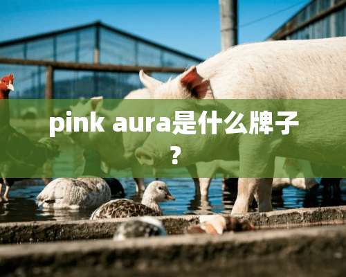 pink aura是什么牌子？