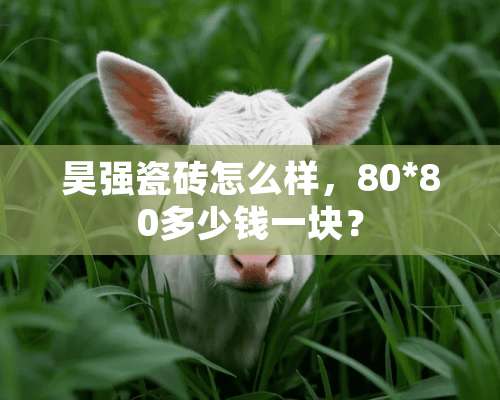 昊强瓷砖怎么样，80*80多少钱一块？