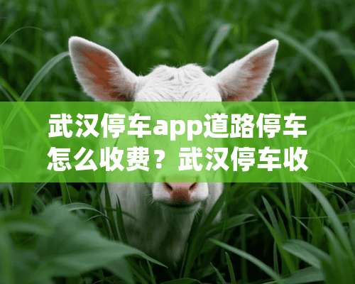 武汉停车app道路停车怎么收费？武汉停车收费标准公布？