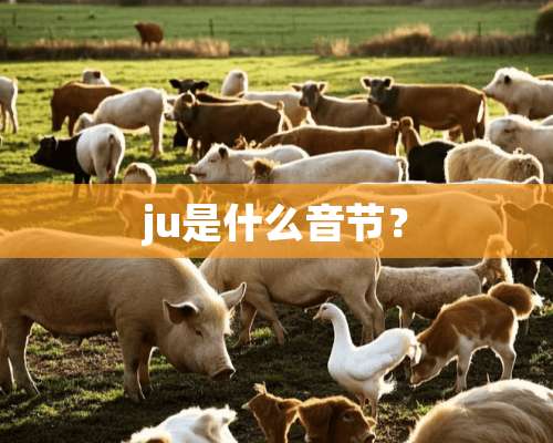 ju是什么音节？