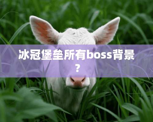 冰冠堡垒所有boss背景？