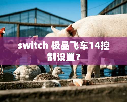 switch 极品飞车14控制设置？