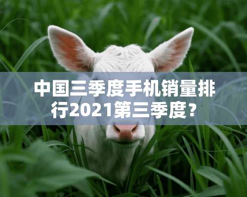 中国三季度手机销量排行2021第三季度？