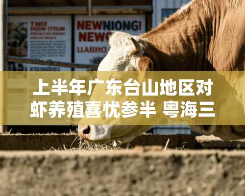 上半年广东台山地区对虾养殖喜忧参半 粤海三宝为养殖成功推力