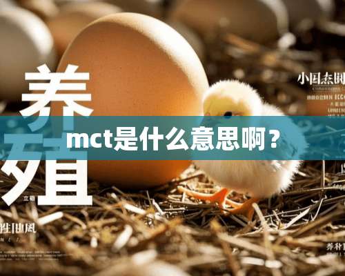 mct是什么意思啊？