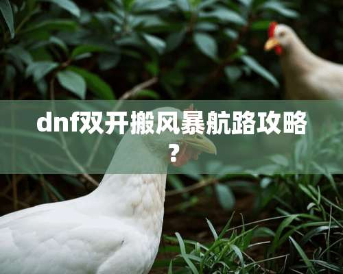 dnf双开搬风暴航路攻略？