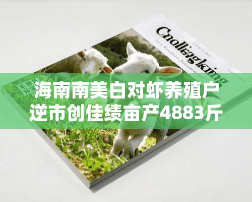 海南南美白对虾养殖户逆市创佳绩亩产4883斤