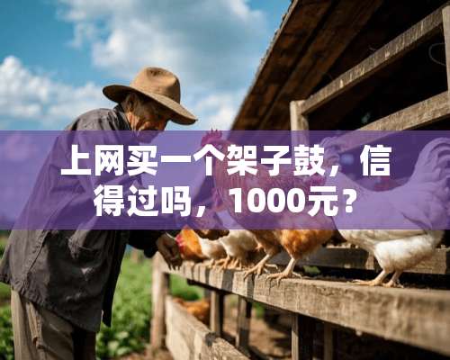 上网买一个架子鼓，信得过吗，1000元？