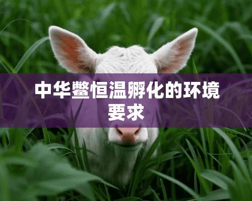 中华鳖恒温孵化的环境要求