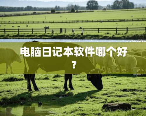 电脑日记本软件哪个好？