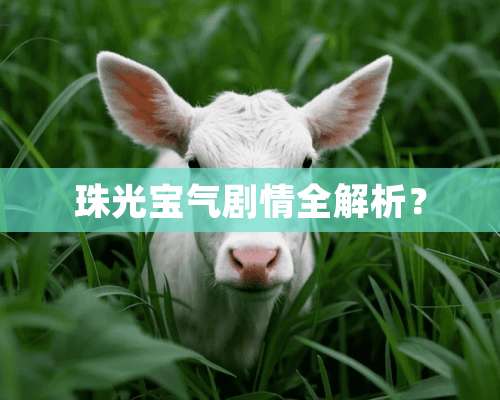 珠光宝气剧情全解析？