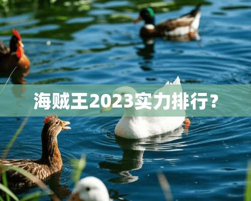 海贼王2023实力排行？