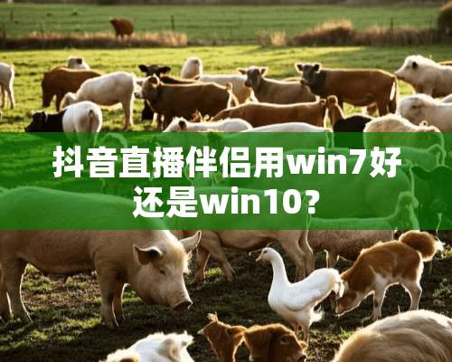 抖音直播伴侣用win7好还是win10？