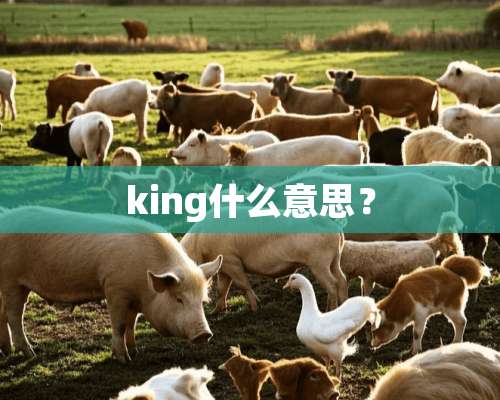 king什么意思？