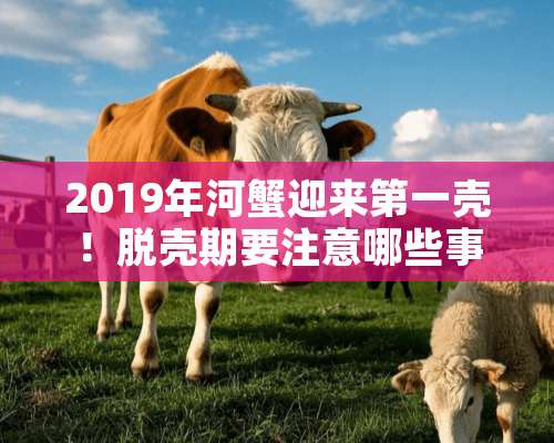 2019年河蟹迎来第一壳！脱壳期要注意哪些事项？