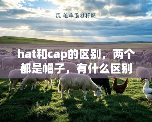 hat和cap的区别，两个都是帽子，有什么区别呢？