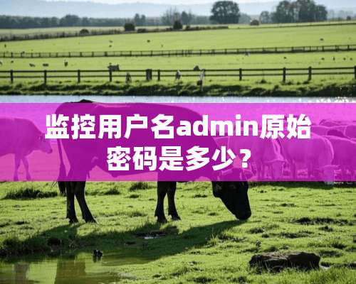 监控用户名admin原始密码是多少？