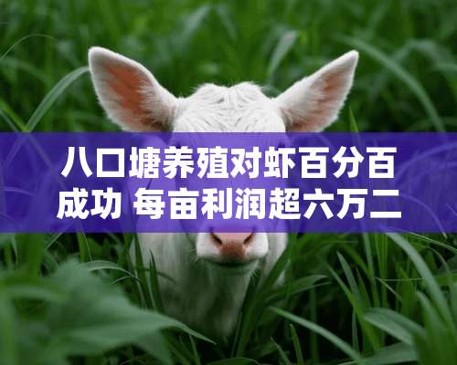 八口塘养殖对虾百分百成功 每亩利润超六万二经验分享