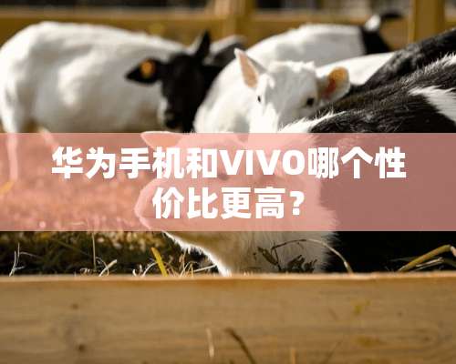 华为手机和VIVO哪个性价比更高？