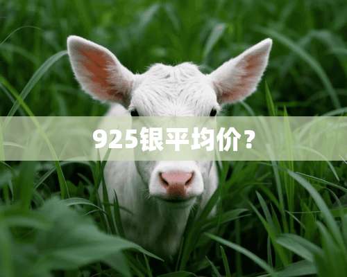 925银平均价？