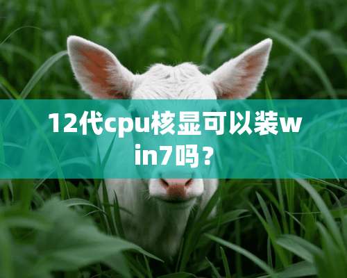 12代cpu核显可以装win7吗？