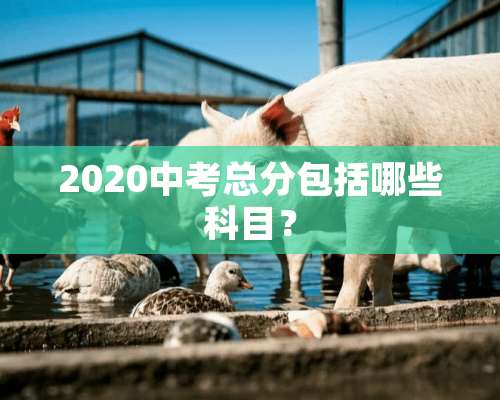 2020中考总分包括哪些科目？