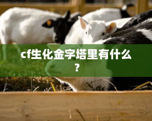 cf生化金字塔里有什么？