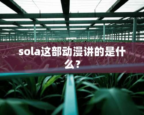 sola这部动漫讲的是什么？