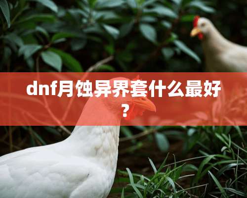 dnf月蚀异界套什么最好？