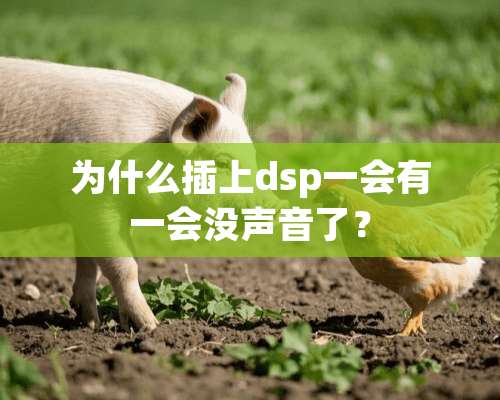 为什么插上dsp一会有一会没声音了？