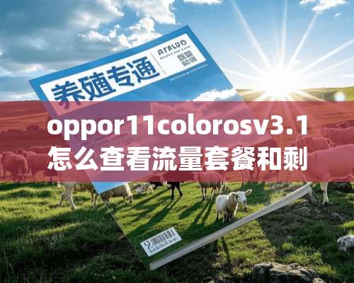 oppor11colorosv3.1怎么查看流量套餐和剩余流量？