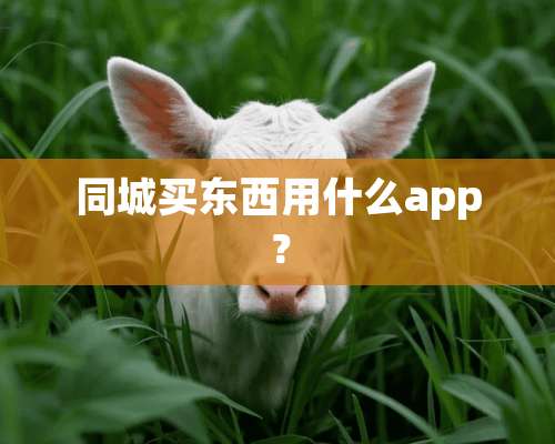 同城买东西用什么app？