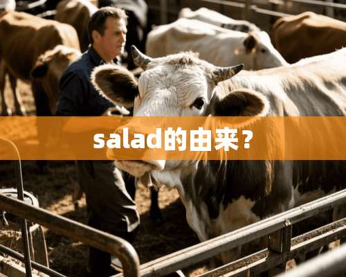 salad的由来？