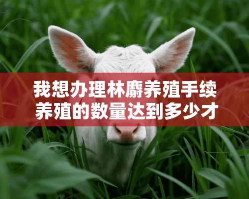 我想办理林麝养殖手续 养殖的数量达到多少才会审批