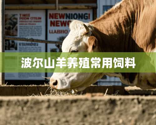 波尔山羊养殖常用饲料