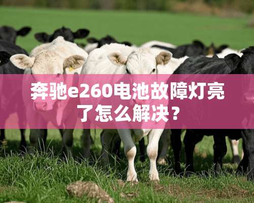 奔驰e260电池故障灯亮了怎么解决？