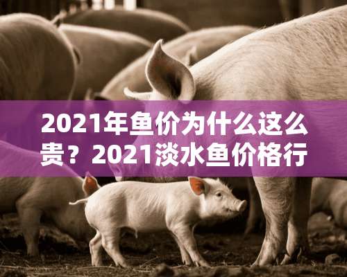 2021年鱼价为什么这么贵？2021淡水鱼价格行情走势