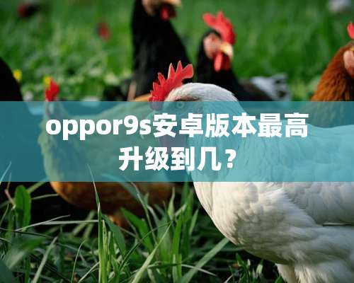 oppor9s安卓版本最高升级到几？