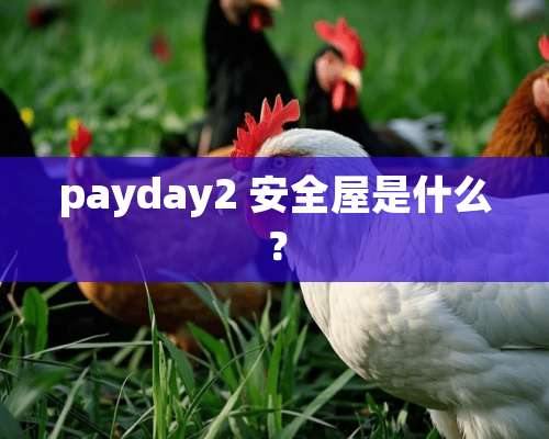 payday2 安全屋是什么？