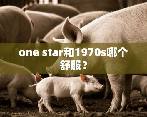 one star和1970s哪个舒服？