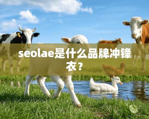 seolae是什么品牌冲锋衣？