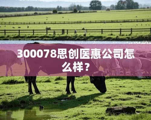 300078思创医惠公司怎么样？