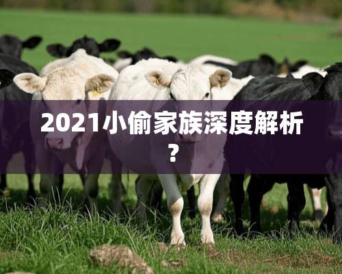 2021小偷家族深度解析？