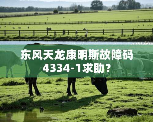 东风天龙康明斯故障码4334-1求助？