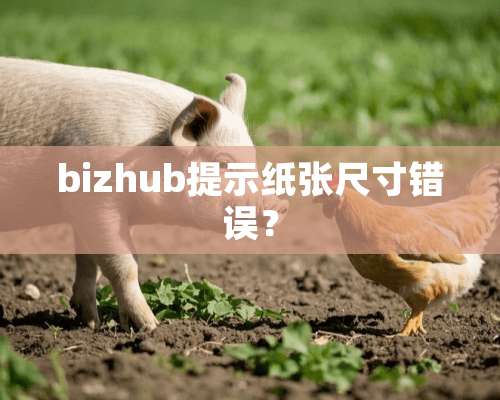 bizhub提示纸张尺寸错误？