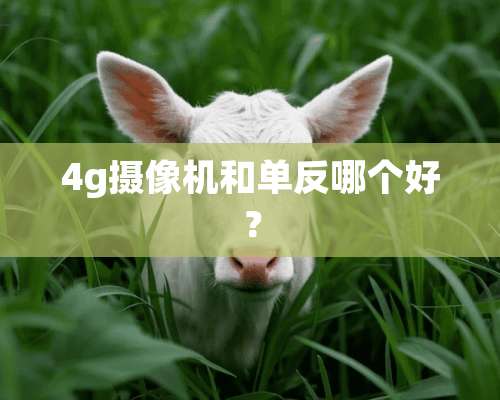 4g**机和单反哪个好？