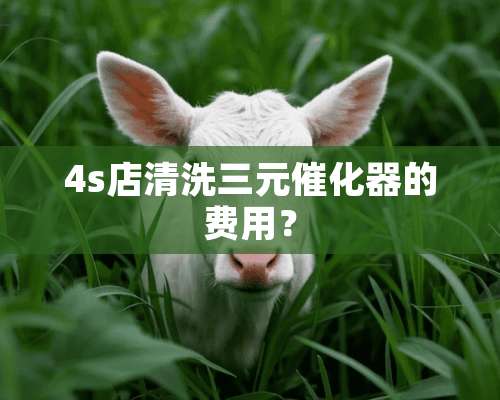 4s店清洗三元催化器的费用？